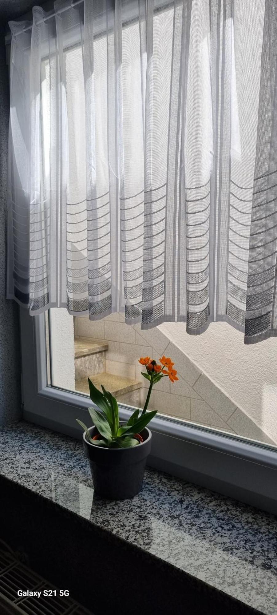 Ferienwohnung Elefanten บาลิงเงน ภายนอก รูปภาพ