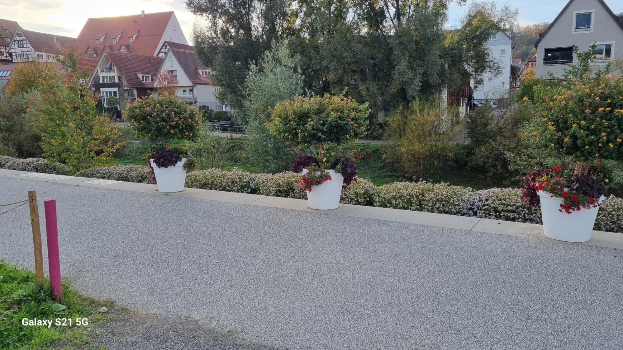 Ferienwohnung Elefanten บาลิงเงน ภายนอก รูปภาพ
